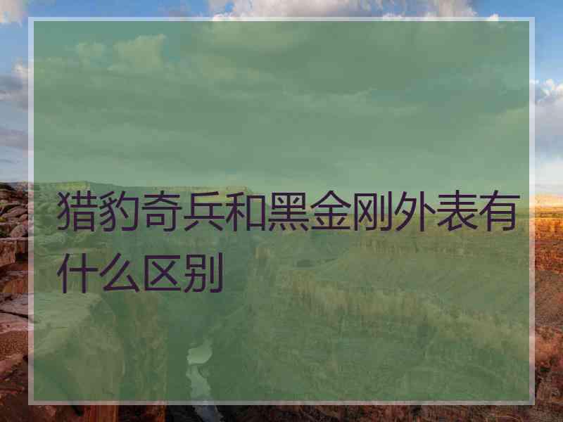 猎豹奇兵和黑金刚外表有什么区别