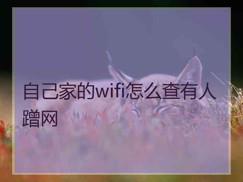 自己家的wifi怎么查有人蹭网