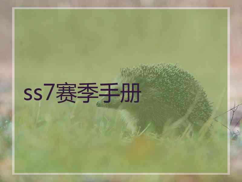ss7赛季手册