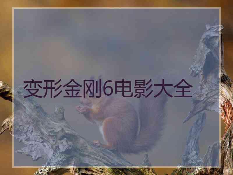 变形金刚6电影大全