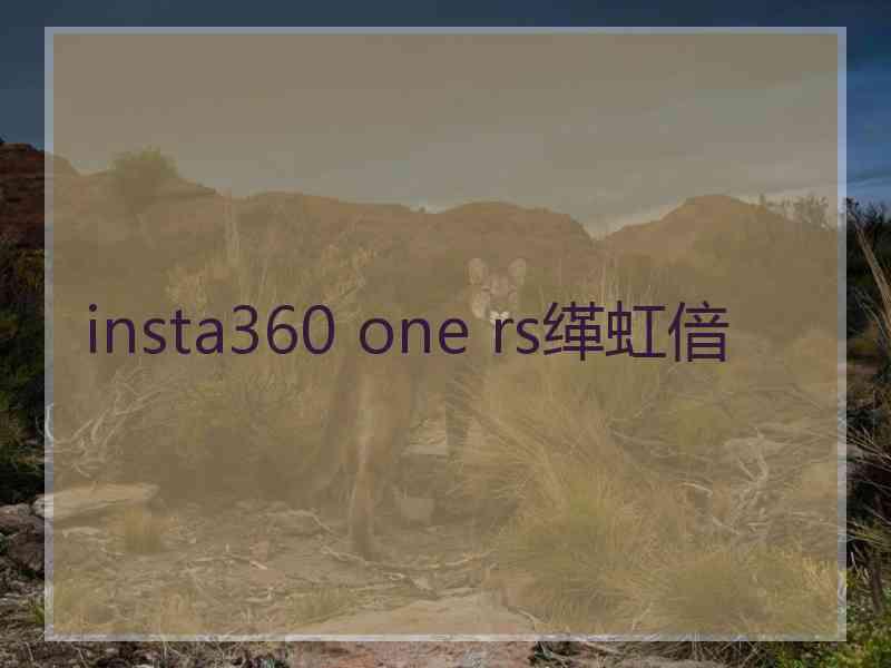 insta360 one rs缂虹偣