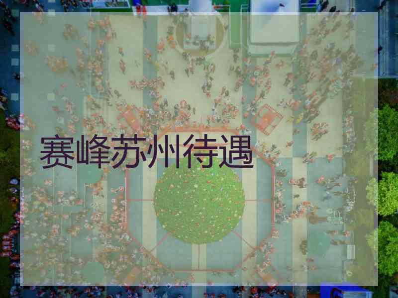 赛峰苏州待遇