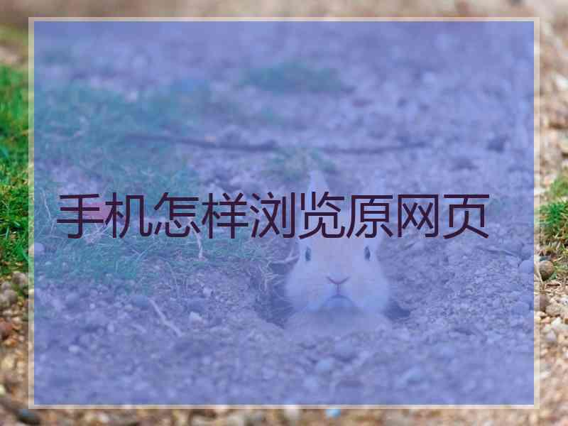 手机怎样浏览原网页