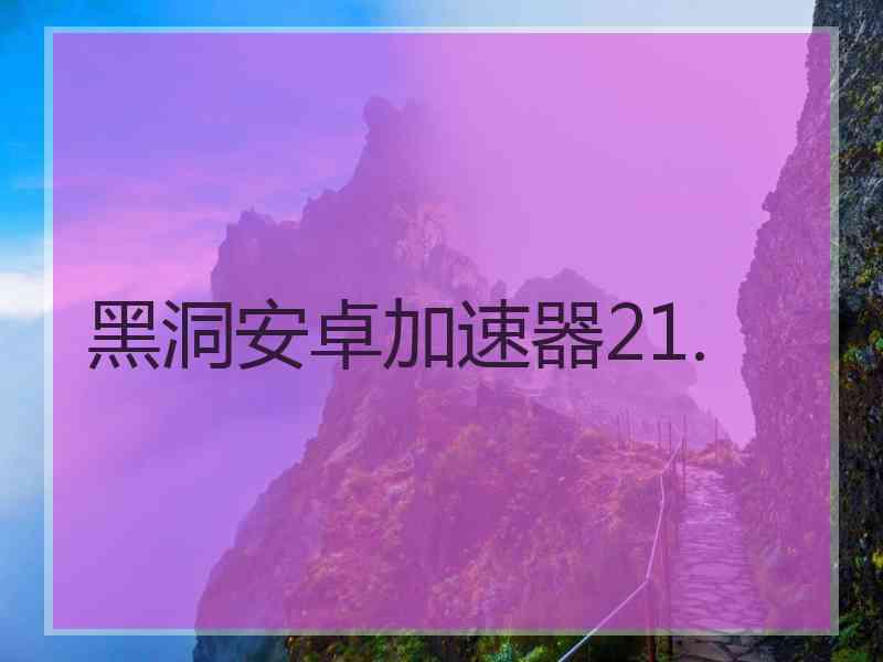 黑洞安卓加速器21.