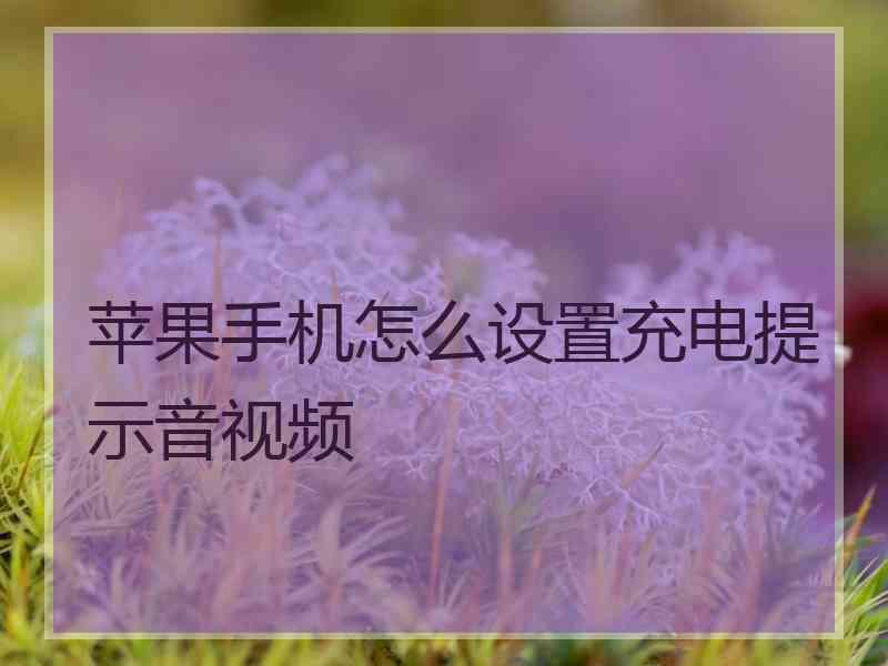 苹果手机怎么设置充电提示音视频
