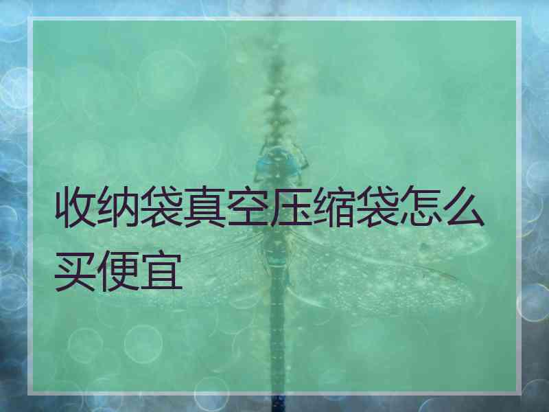 收纳袋真空压缩袋怎么买便宜