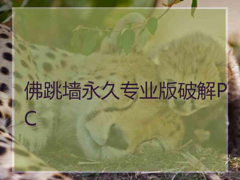 佛跳墙永久专业版破解PC