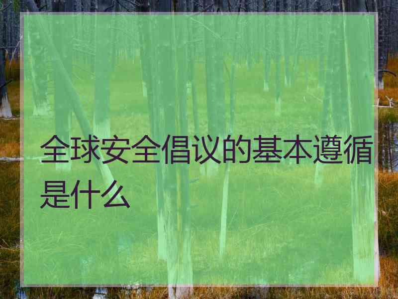 全球安全倡议的基本遵循是什么