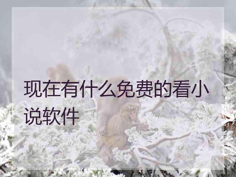 现在有什么免费的看小说软件