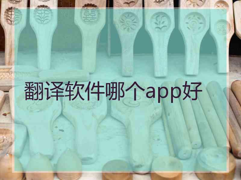 翻译软件哪个app好