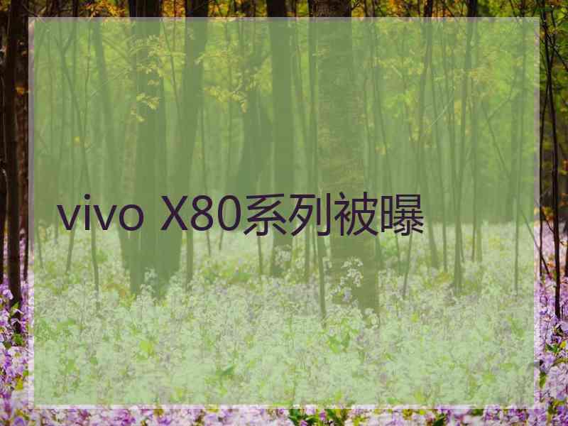 vivo X80系列被曝