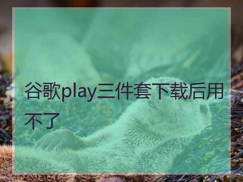 谷歌play三件套下载后用不了