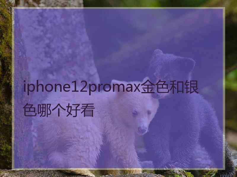iphone12promax金色和银色哪个好看