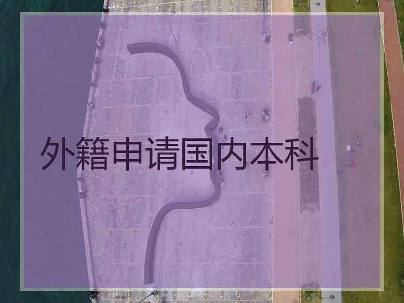 外籍申请国内本科