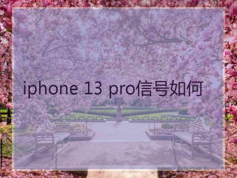 iphone 13 pro信号如何