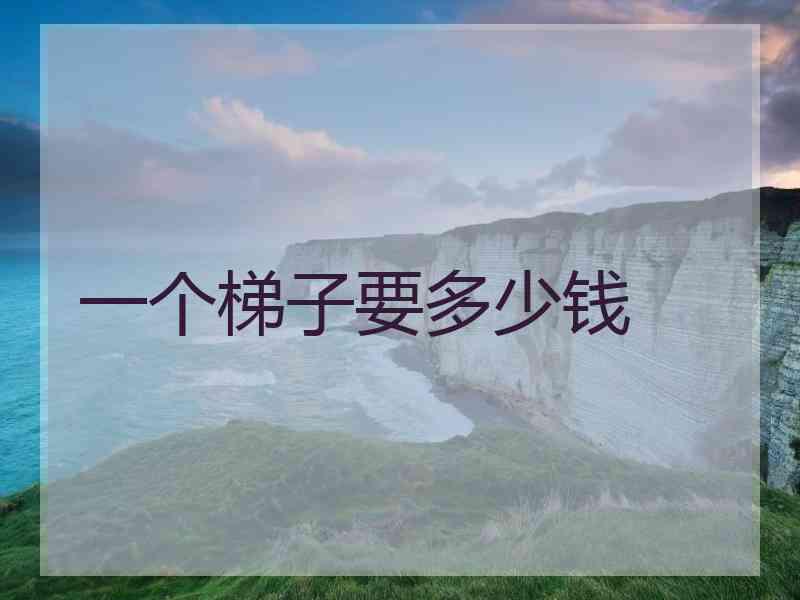 一个梯子要多少钱