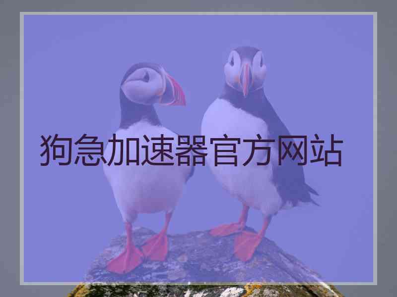 狗急加速器官方网站