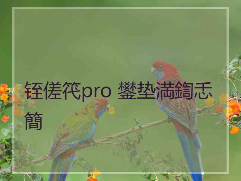铚傞笩pro 鐢垫満鍧忎簡