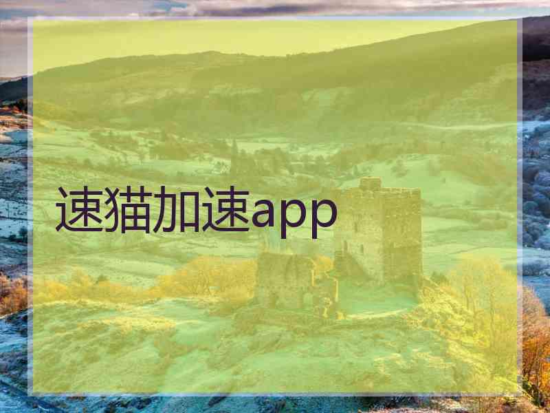 速猫加速app