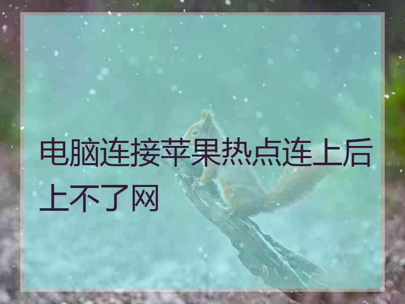 电脑连接苹果热点连上后上不了网