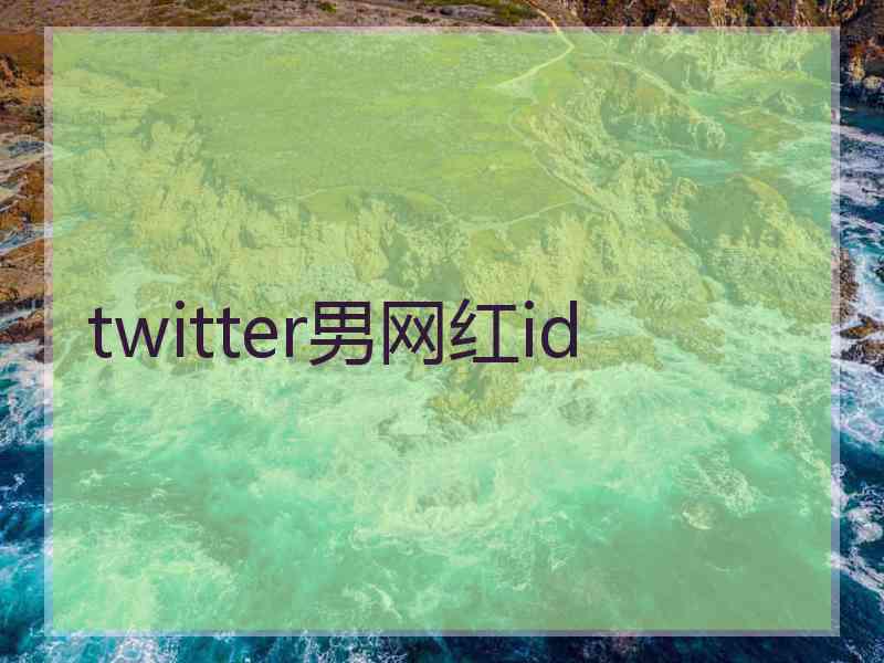 twitter男网红id