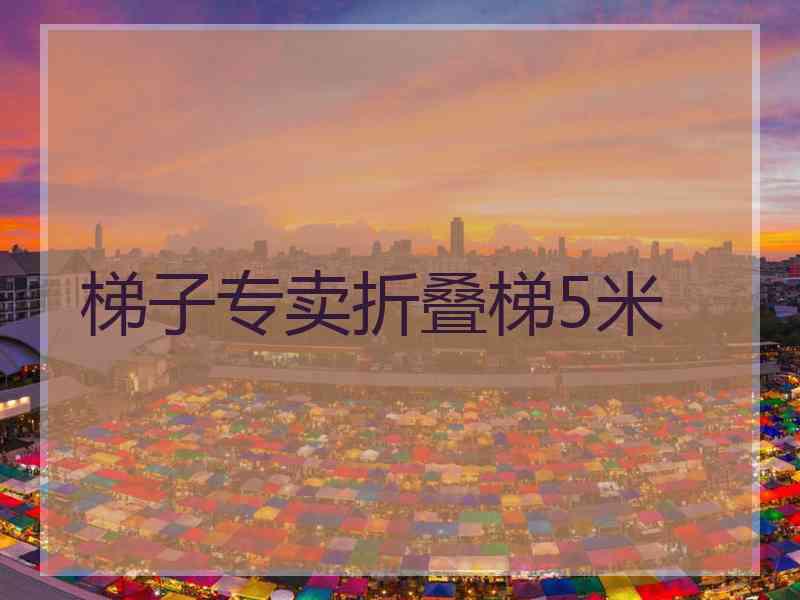 梯子专卖折叠梯5米