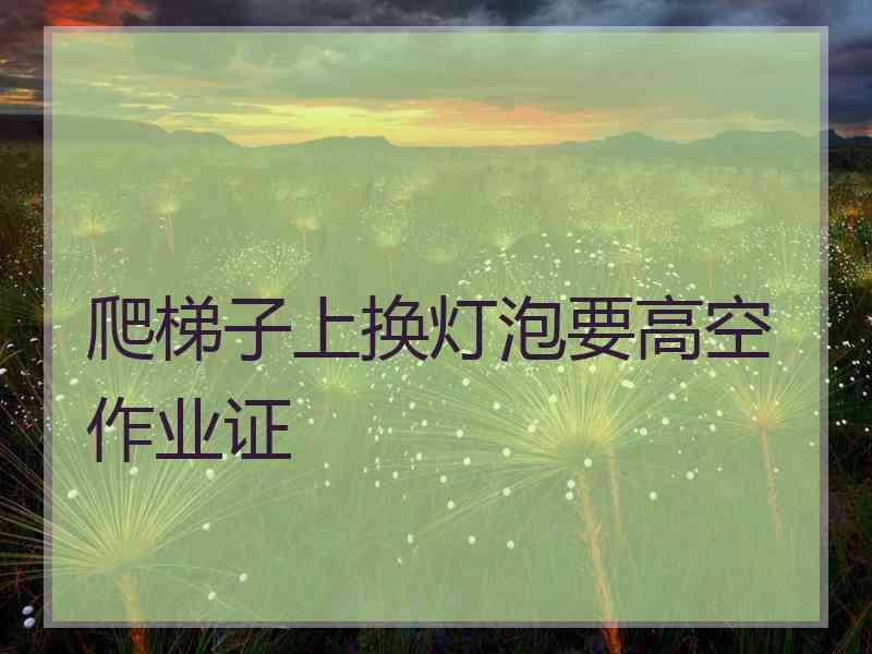 爬梯子上换灯泡要高空作业证