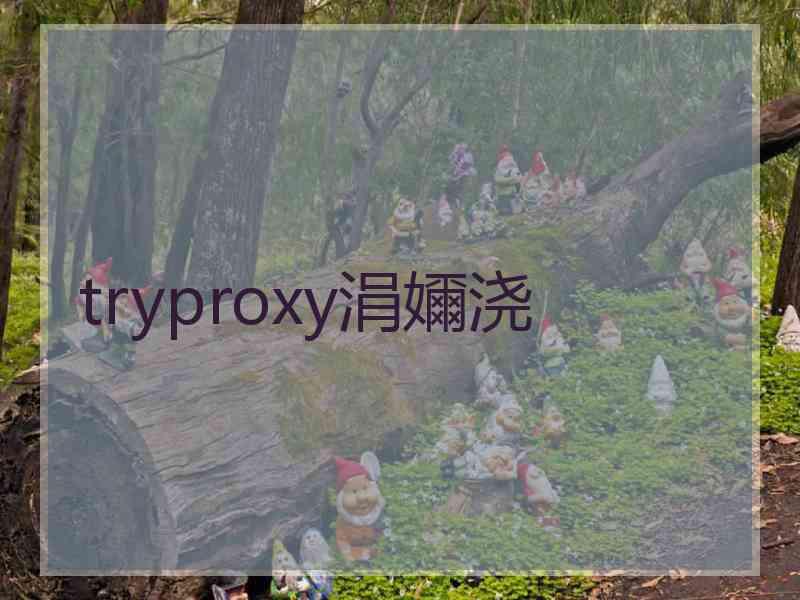 tryproxy涓嬭浇