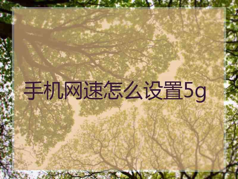 手机网速怎么设置5g