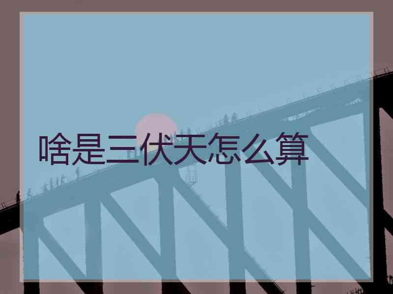 啥是三伏天怎么算