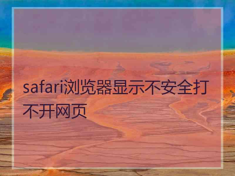 safari浏览器显示不安全打不开网页