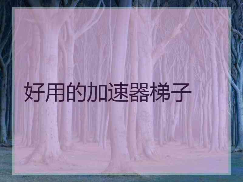 好用的加速器梯子