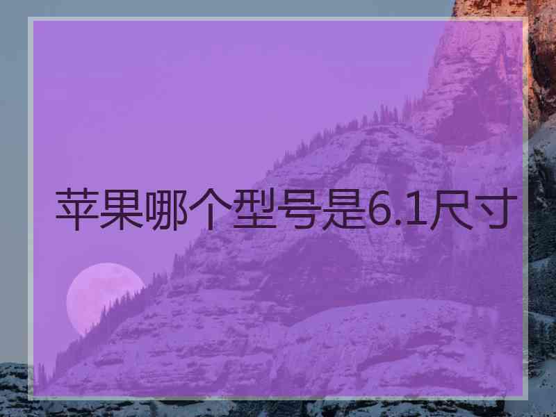 苹果哪个型号是6.1尺寸