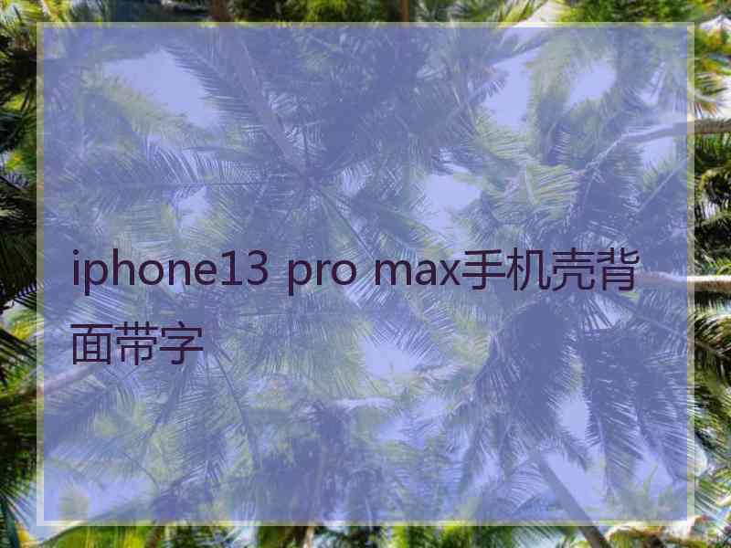 iphone13 pro max手机壳背面带字