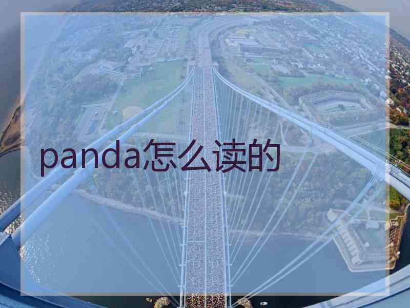 panda怎么读的