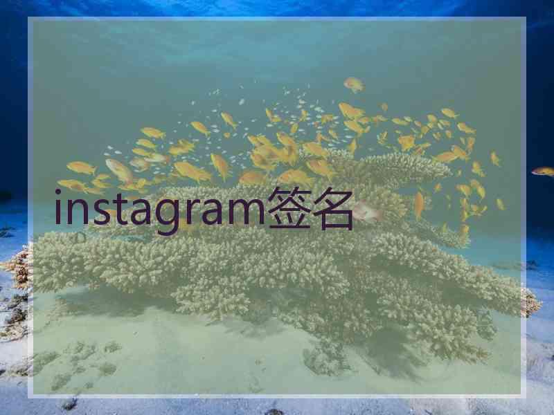 instagram签名