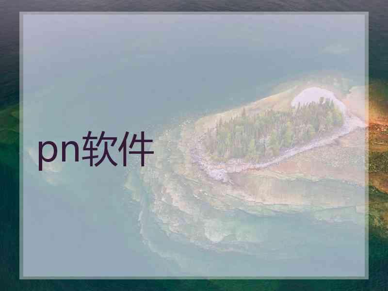 pn软件