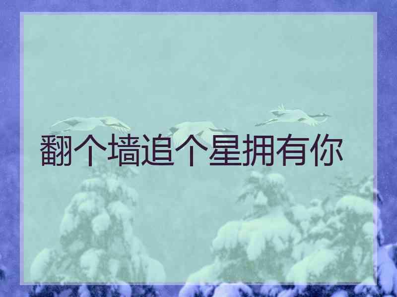 翻个墙追个星拥有你