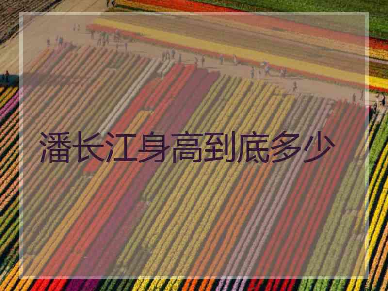 潘长江身高到底多少