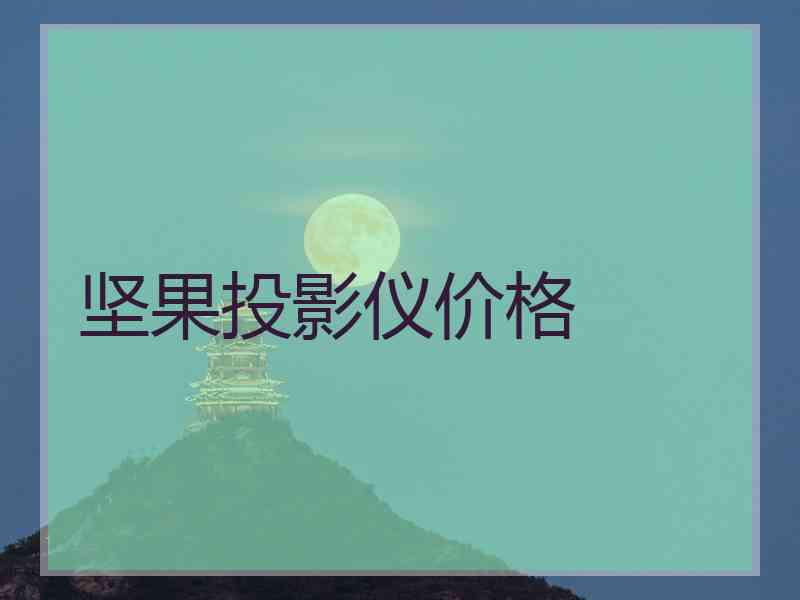 坚果投影仪价格
