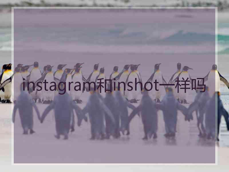instagram和inshot一样吗
