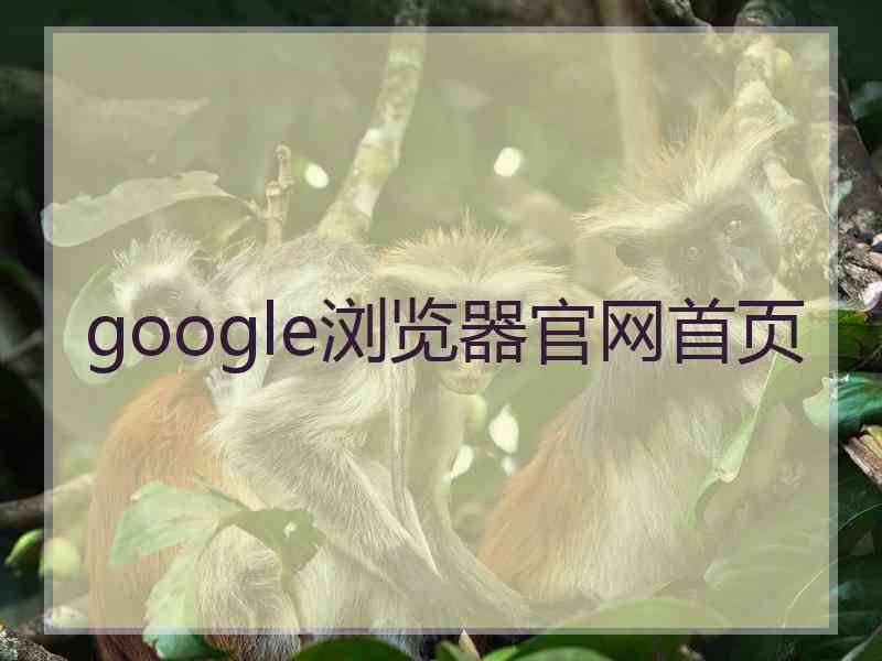 google浏览器官网首页