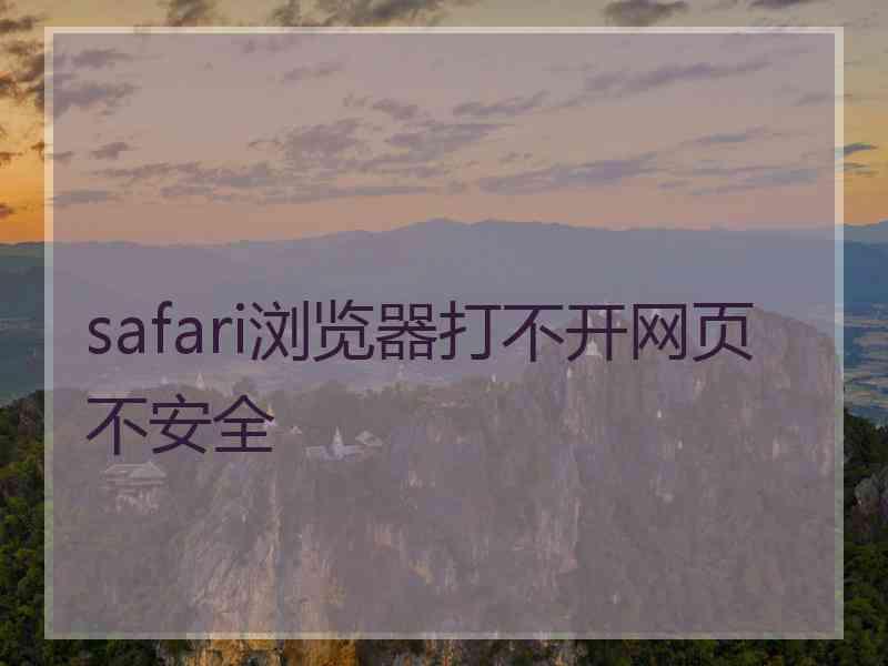 safari浏览器打不开网页不安全