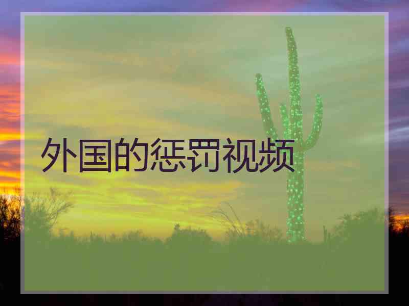 外国的惩罚视频