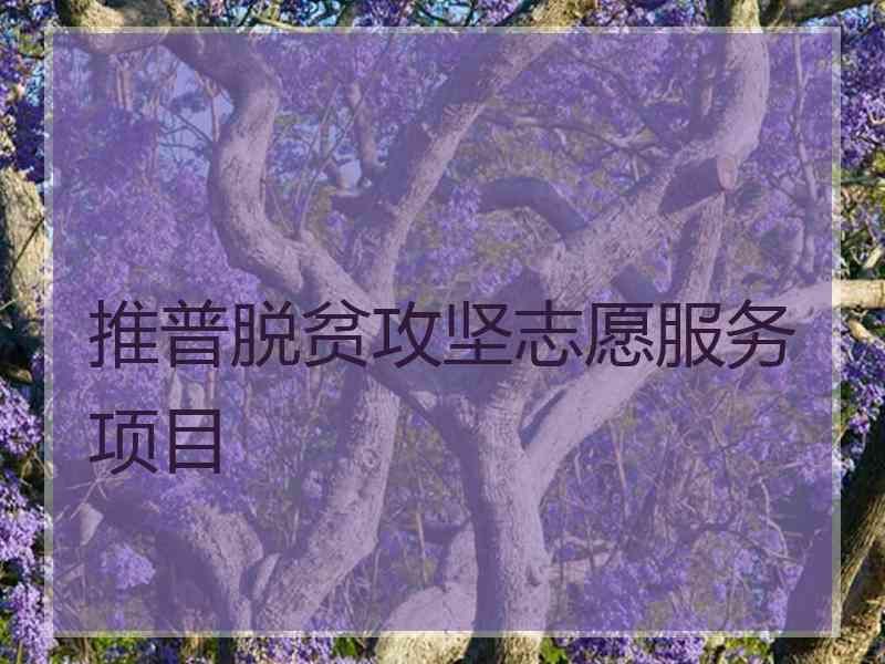 推普脱贫攻坚志愿服务项目