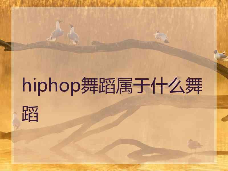 hiphop舞蹈属于什么舞蹈
