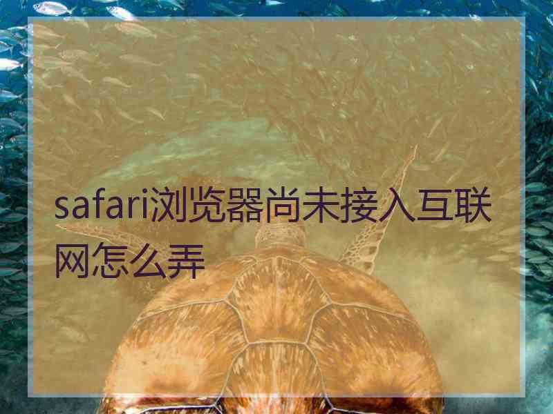 safari浏览器尚未接入互联网怎么弄
