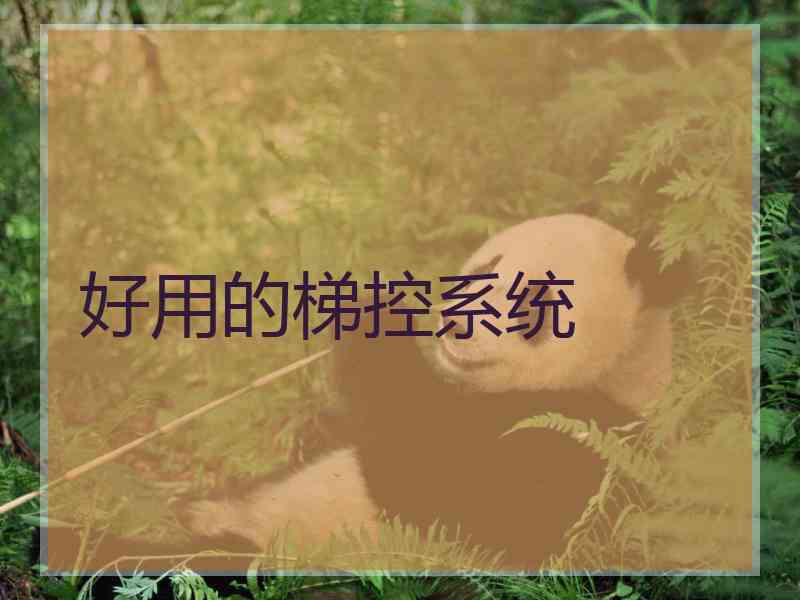 好用的梯控系统