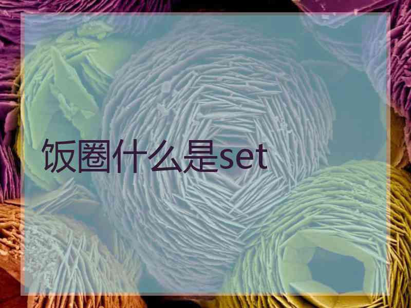 饭圈什么是set