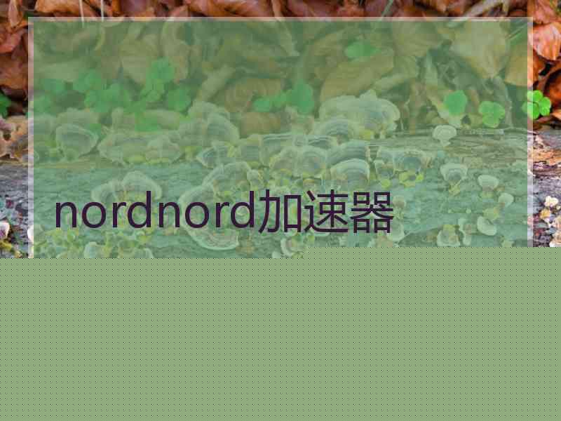 nordnord加速器